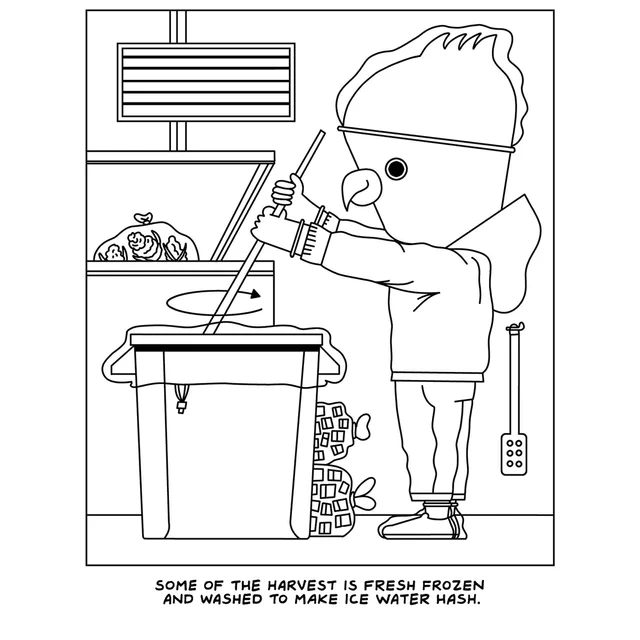 A Visit to the Canabis Farm Coloring Book by Wood Rocket - Image 2