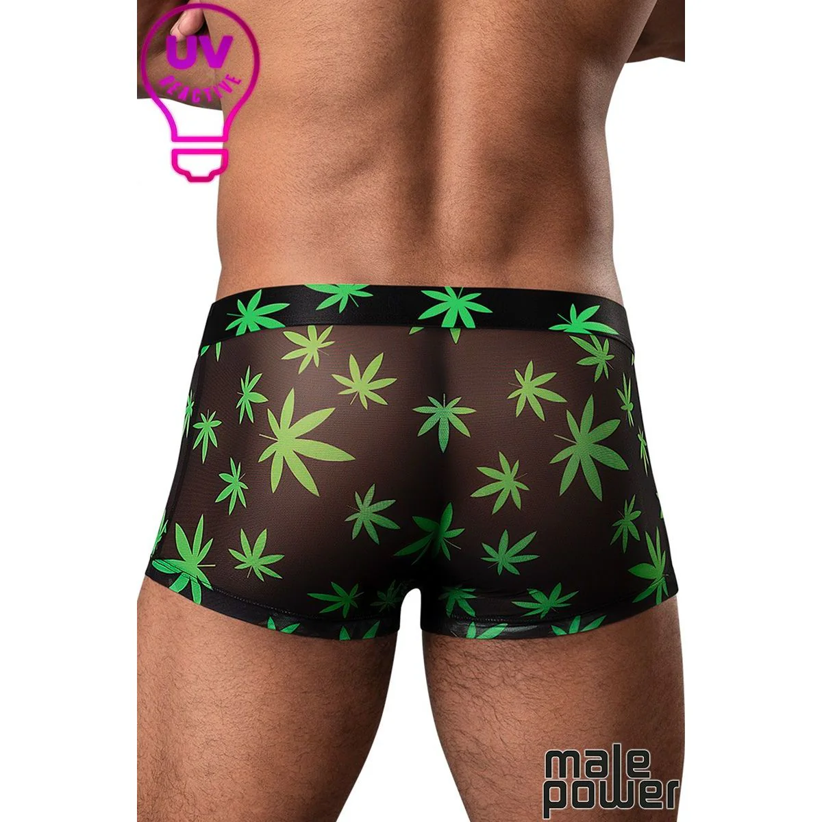 Hazy Days Shorts Leaf by Male Power - Image 3