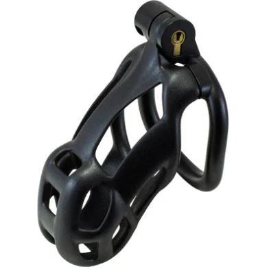 Medium Locking Cock Chastity Cage by Kink Collection - Image 2
