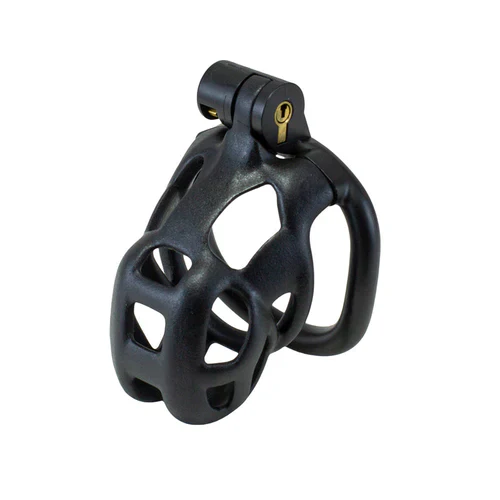 Small Locking Cock Chastity Cage by Kink Collection - Image 2