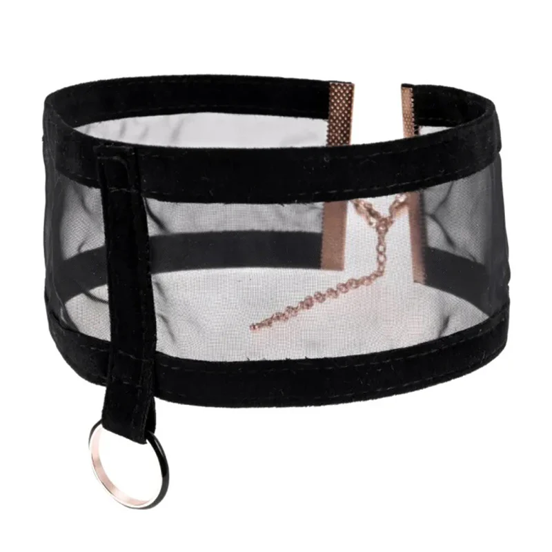Sex & Mischief Sheer Day Collar By Sportsheets - Image 2