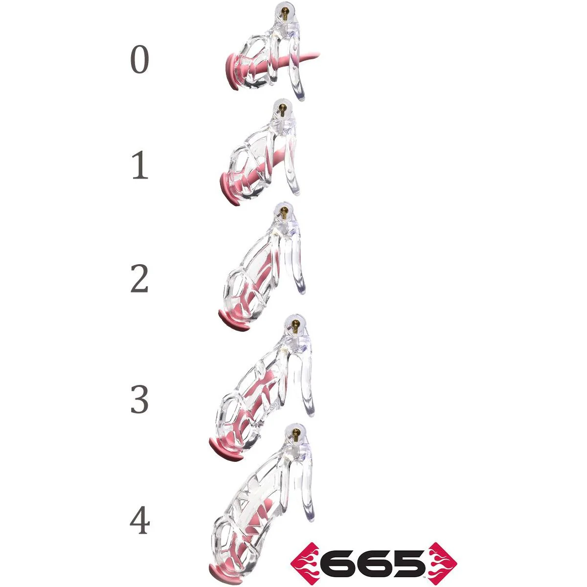 CellMate The Guardian Clear Chastity Cock Cage by 665 Bondage - Image 4
